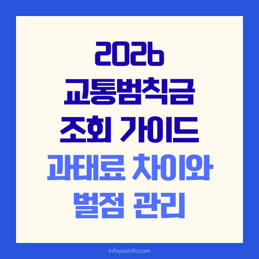 2026 교통범칙금 조회 가이드｜과태료 차이와 벌점 관리