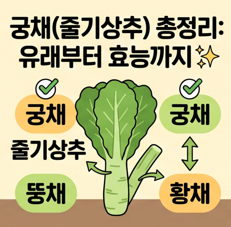 [완전정리] 궁채(줄기상추) 손질법·불리는 시간과 궁채 장아찌 레시피