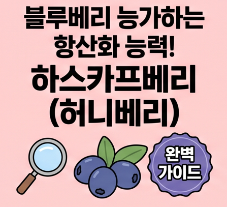 [완전정리] 하스카프베리 묘목 식재법 시기별 정리와 즙 원재료명 읽는 법